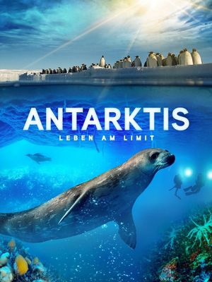 Antarktis - Leben am Limit's poster