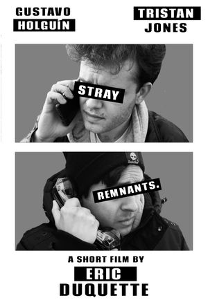 Stray Remnants's poster