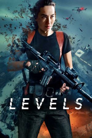 Levels's poster