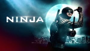 Ninja's poster