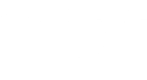 Air Force One Down's poster
