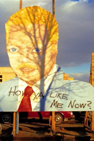 The Melt Goes on Forever: The Art & Times of David Hammons's poster
