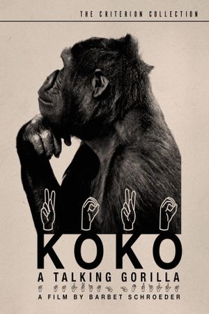 Koko: A Talking Gorilla's poster