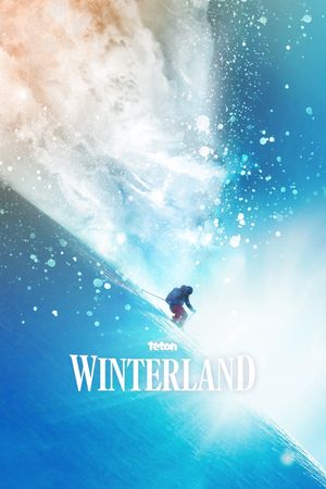 Winterland's poster