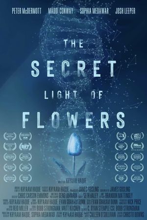 The Secret Light of Flowers's poster image