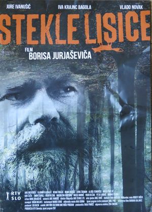 Stekle lisice's poster