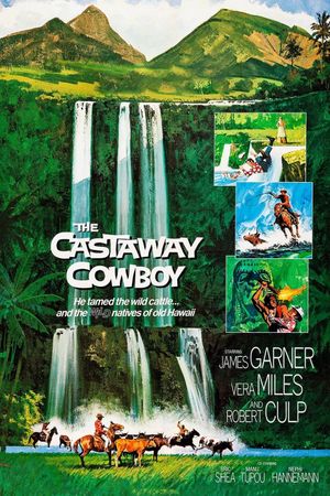 The Castaway Cowboy's poster