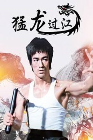 The Way of the Dragon's poster