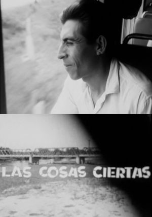 Las cosas ciertas's poster