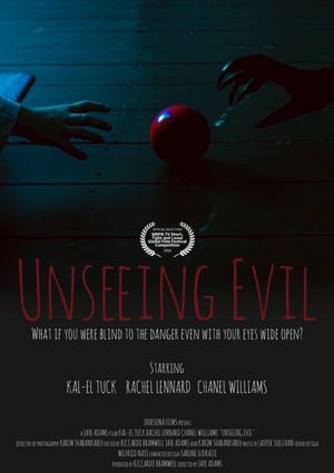 Unseeing Evil's poster