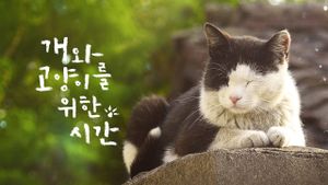 A Time for Dogs and Cats's poster