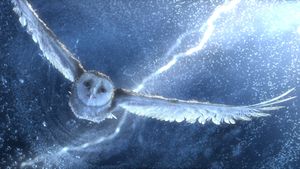 Legend of the Guardians: The Owls of Ga'Hoole's poster