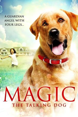 Magic's poster
