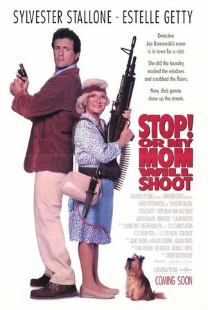 Stop! Or My Mom Will Shoot's poster