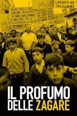 Il profumo delle zagare's poster
