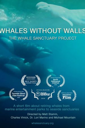 Whales Without Walls's poster