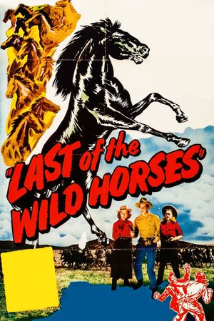 Last of the Wild Horses's poster