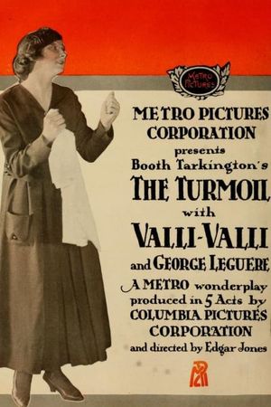 The Turmoil's poster image
