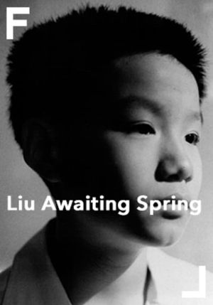 Liu Awaiting Spring's poster image