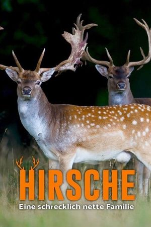 Hirsche - Eine schrecklich nette Familie's poster