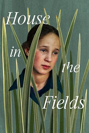 House in the Fields's poster