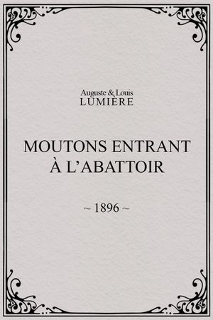 Moutons entrant à l'abattoir's poster