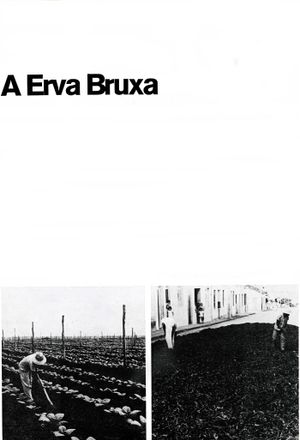 A Erva Bruxa's poster