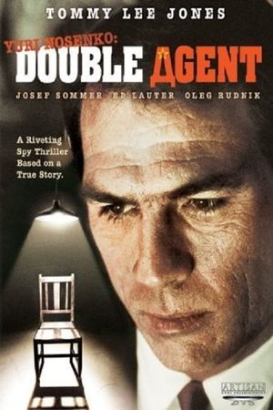 Double Image's poster