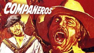 Compañeros's poster