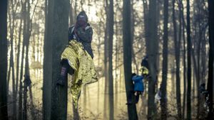 Barricade: Pictures of a Forest Occupation's poster