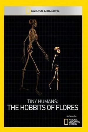 Tiny Humans: The Hobbit of Flores's poster image