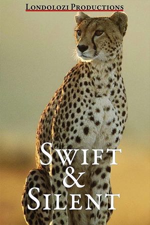 Swift and Silent's poster