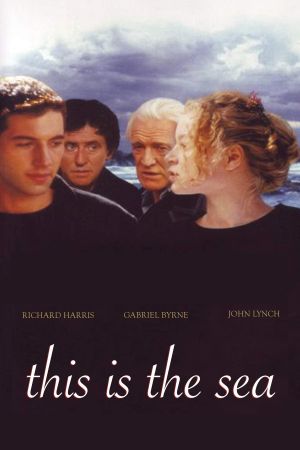 This Is the Sea's poster