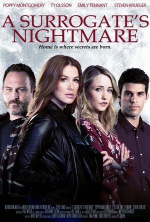 A Surrogate's Nightmare's poster