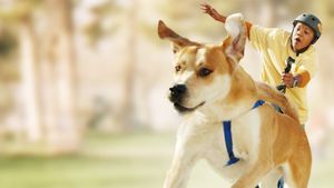 Life Is Ruff's poster