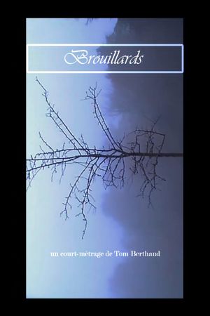 Brouillards's poster image