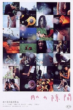 A Gap in the Skin's poster