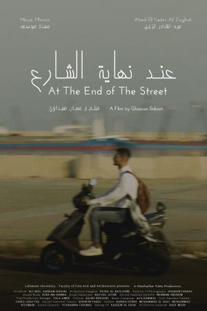 At The End of The Street's poster