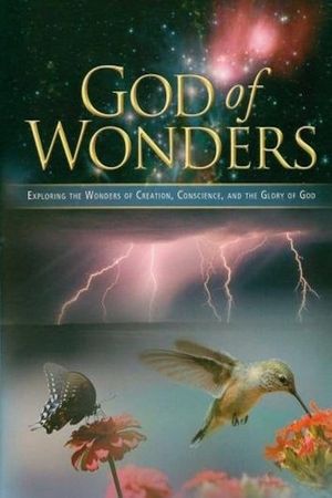 God of Wonders's poster