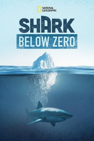 Shark Below Zero's poster