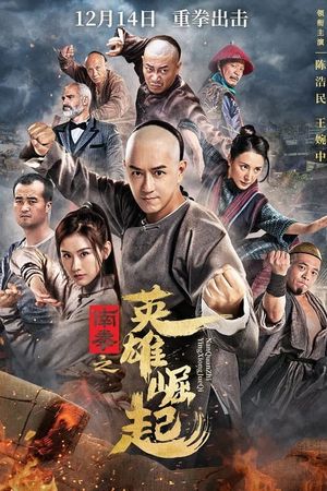 The Rise of Nanquan Fist's poster