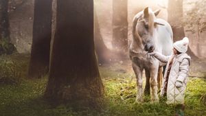 Tale of the Forest Unicorn's poster