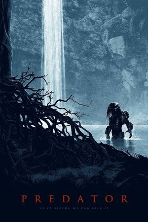 Predator's poster