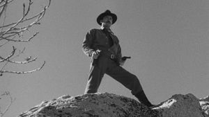 The Gunfighter's poster