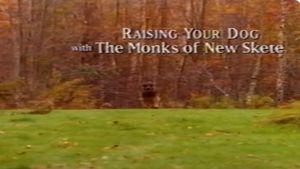 Raising Your Dog with the Monks of New Skete: Obedience - Working With Your Adult Dog's poster