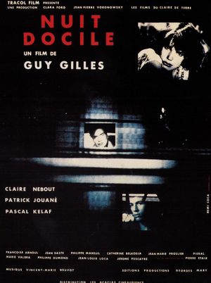 Nuit docile's poster