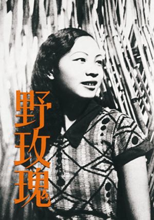 Wild Rose's poster