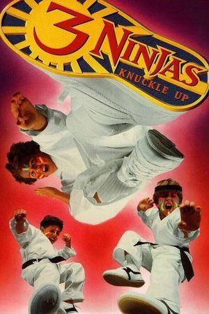 3 Ninjas: Knuckle Up's poster