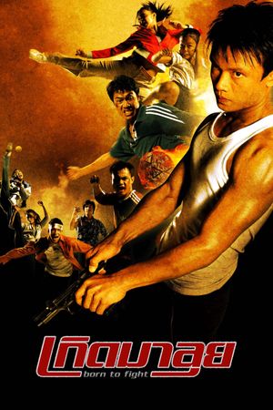 Born to Fight's poster