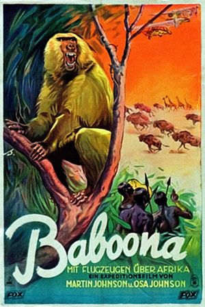 Baboona's poster